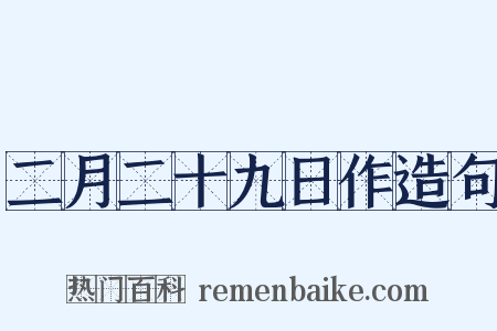 二月二十九日作造句是什么意思的图片